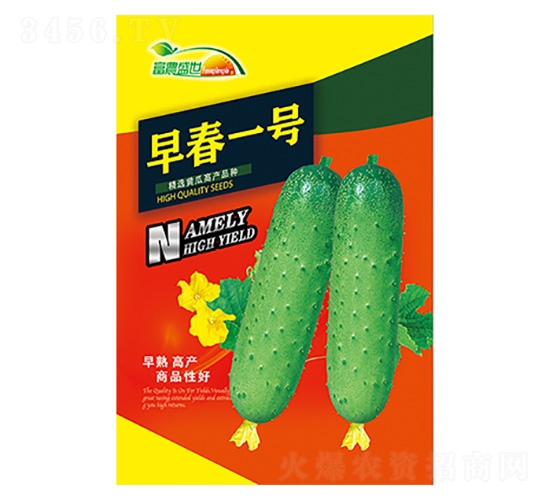 �紺һ��-����