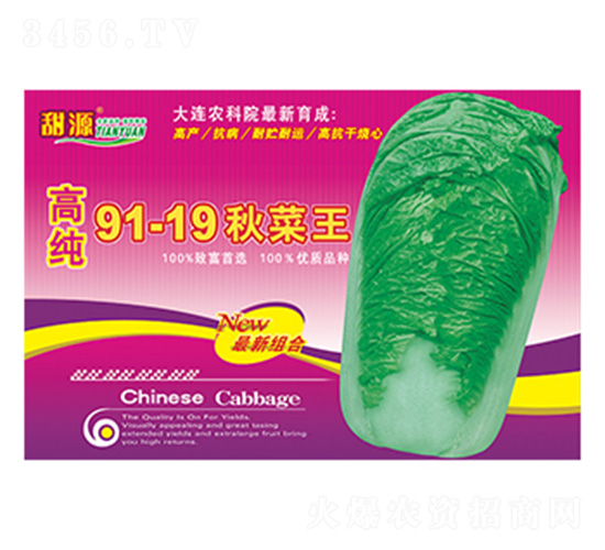 �ߴ�91-19�����-����
