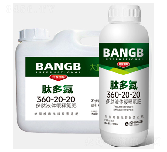 �Ķ൪360-20-20-���ҵ