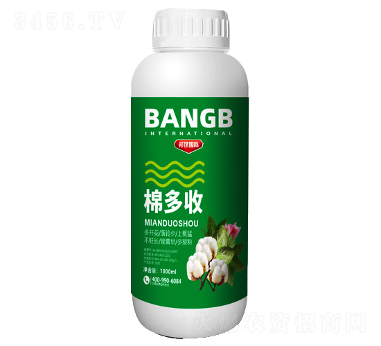 �޶���-���ҵ