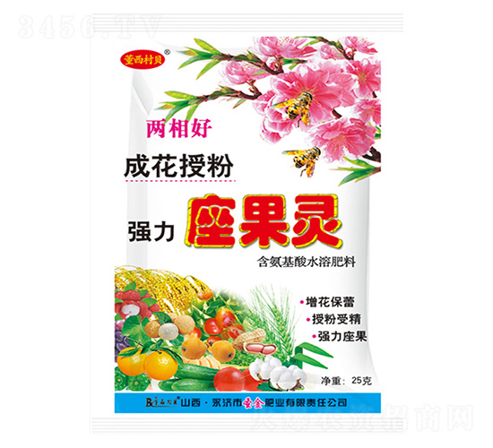 ǿ��������-�����屴-ʥ���ҵ