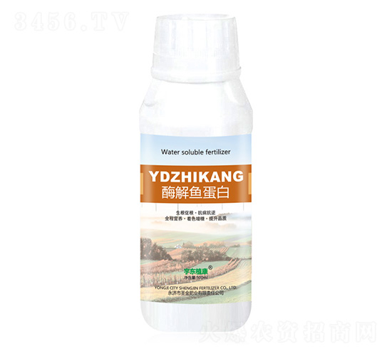 ø���㵰��-ʥ���ҵ