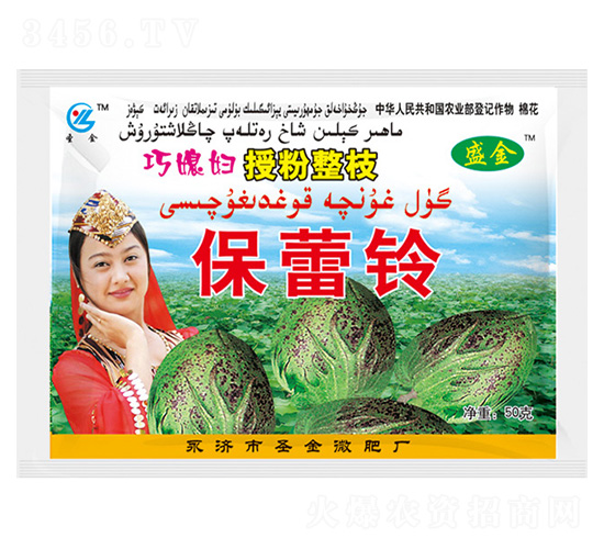 ��ϱ���ڷ���֦������-ʢ��-ʥ���ҵ