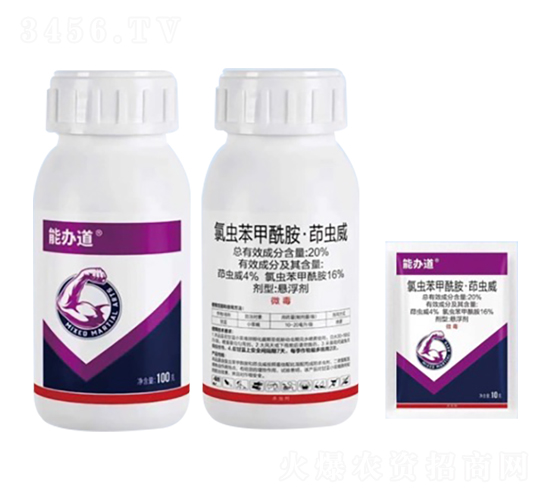 20%�ȳ汽�������������������-�ܰ��-��ũ��̩