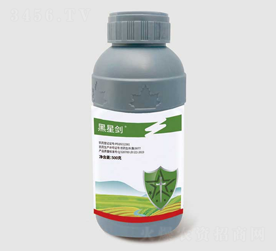 10%�ȳ汽��ʭ����������-���ǽ�-��ũ��