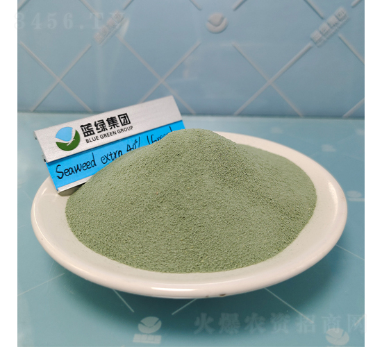 40%��ɫ���徫-����˹����