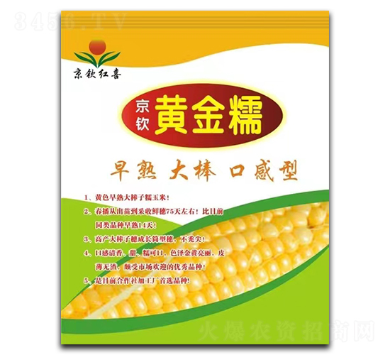 ���ջƽ�Ŵ-��������-���պ�ϲ
