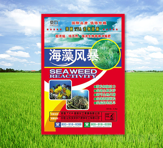 ����籩-����