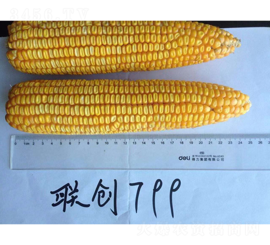 ����799-��������-������ҵ