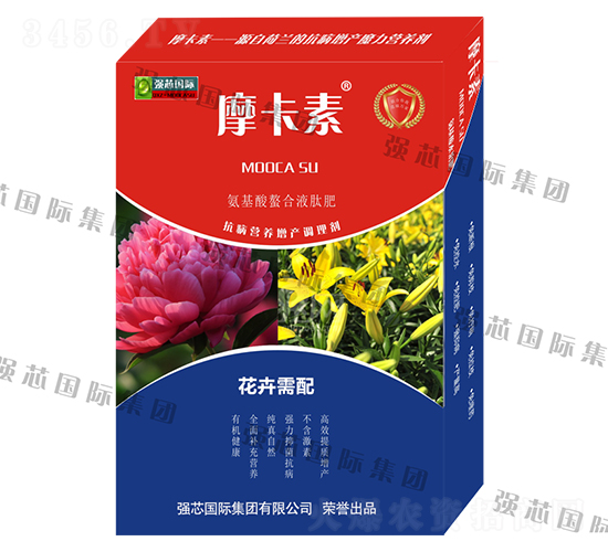 �������䰱��������Һ�ķ�-Ħ����-ǿо