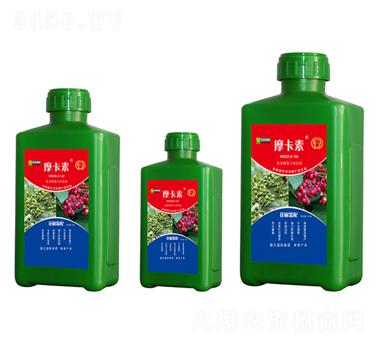 �������䰱��������Һ�ķ�-Ħ����-ǿо