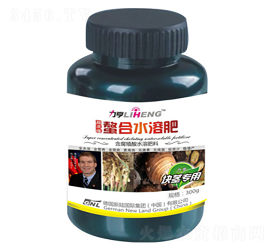 �߶�Ҷ��ʣ��龥ר�ã�300g-�»���½