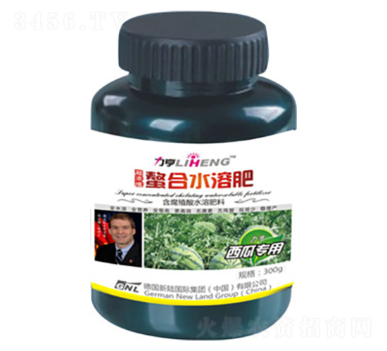 300g�߶�Ҷ��ʣ�����ר�ã�-�»���½