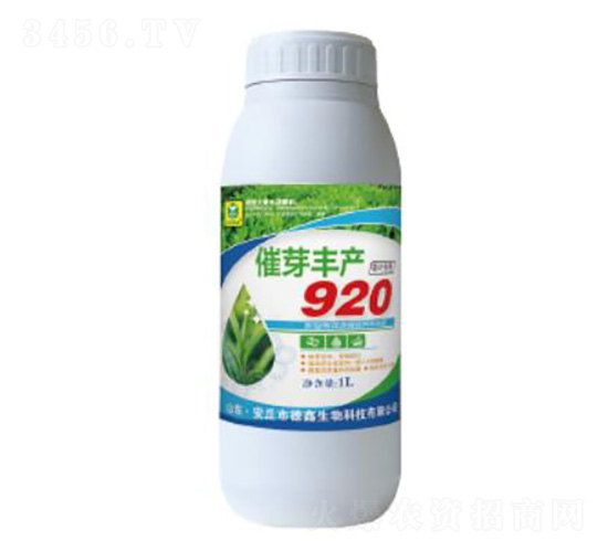 ��ѿ���920-��������
