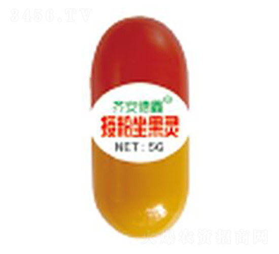 5g�ڷ�������-��������