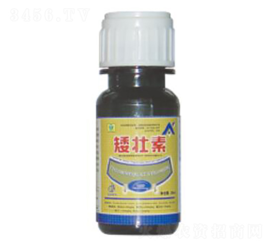 20ml��׳��-��������