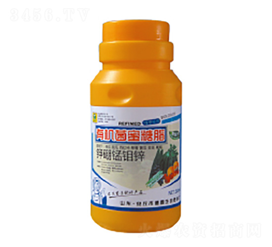 �л�������֬-��������п-��������