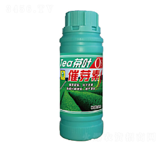 500ml��Ҷ��ѿ��-��������