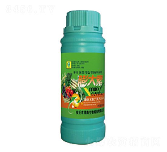 500ml�����-��������