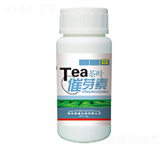 100ml��Ҷ��ѿ��-��������