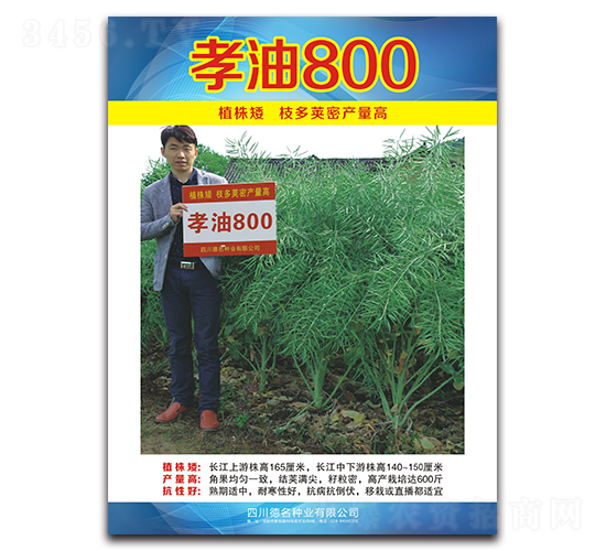 Т��800-�Ͳ�����-������ҵ