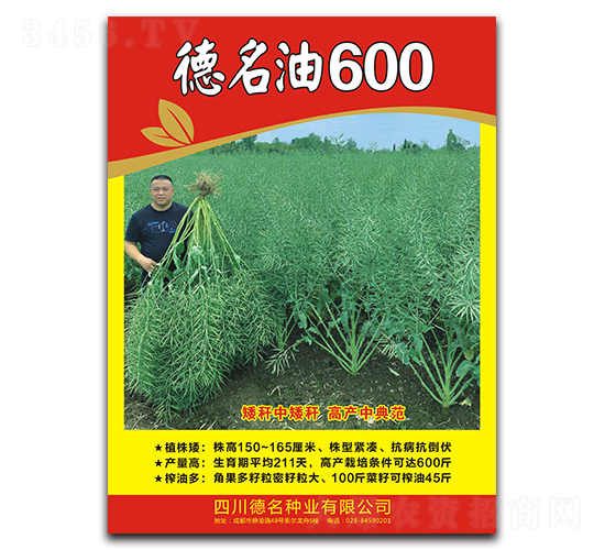 ������600-�Ͳ�����-������ҵ
