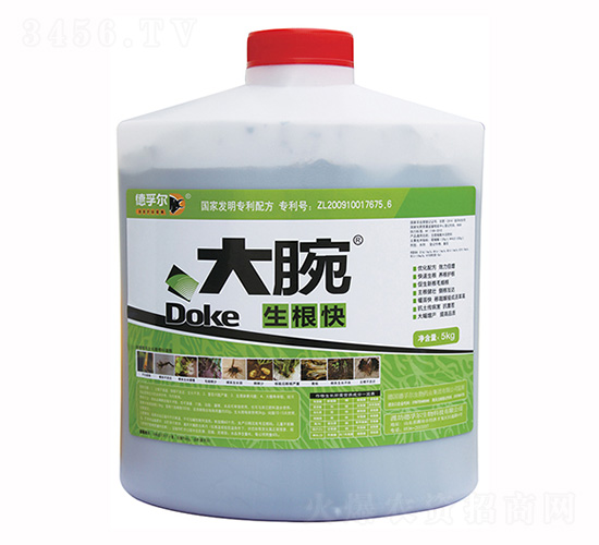 5kg������-����-���ڶ�