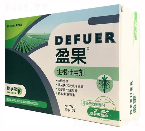 ����׳���-ӯ��-���ڶ�