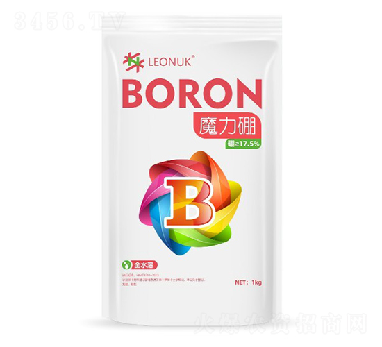 ħ����-����