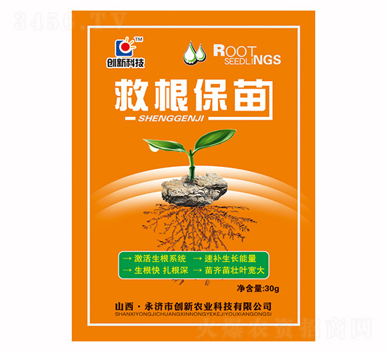 30g�ȸ�����-���¿Ƽ�