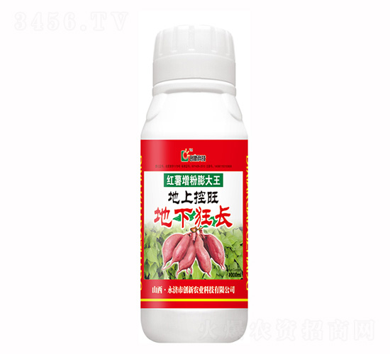 1000ml�������������-���¿Ƽ�