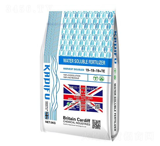 Ӣ��UK-Cardiff����Ķ1��ˮ�ܷ���19-19-19+TE-���Ϸ�