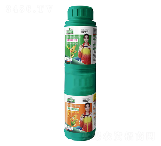 ���ѡ������ѱ���A+B��-��ڱ�