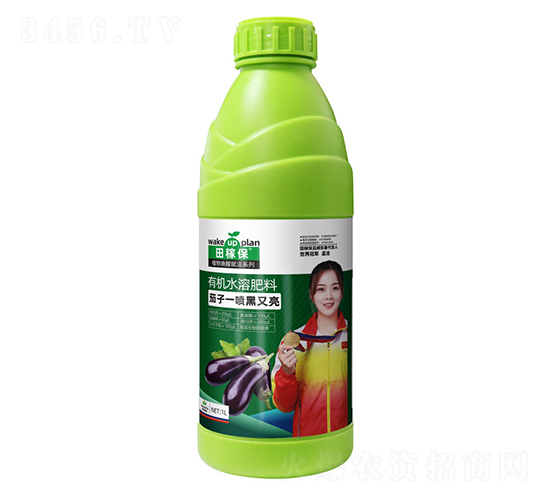 ����һ�������-��ڱ�
