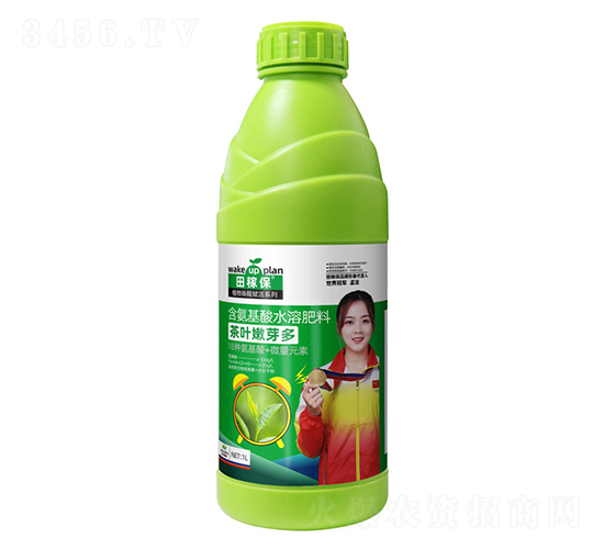 ��Ҷ��ѿ��-��ڱ�