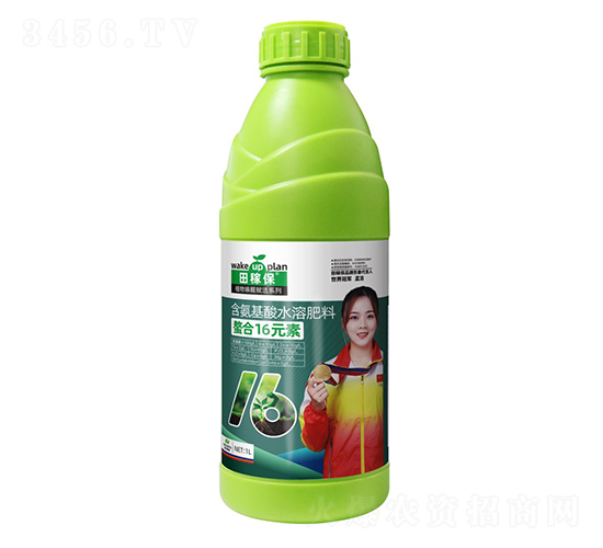 ����16Ԫ��-��ڱ�
