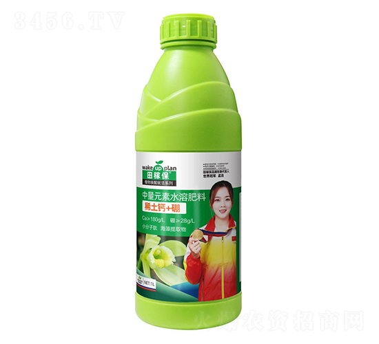 ϡ����+��-��ڱ�