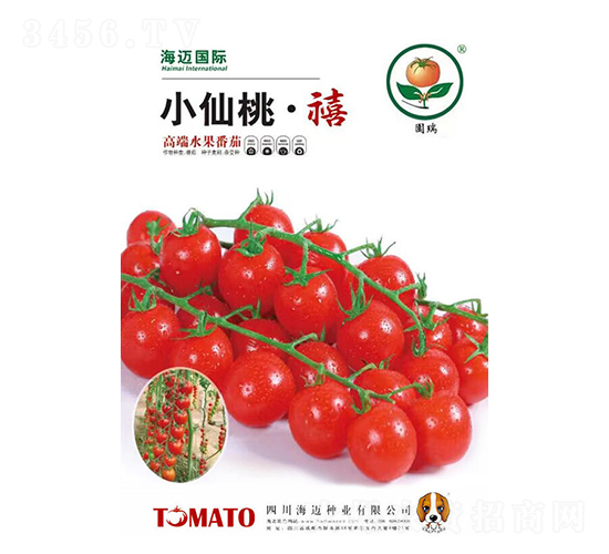 С���ҡ���-ӣ�ҷ�������-��������