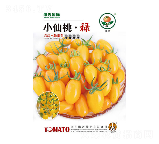 С���ҡ�»-ӣ�ҷ�������-��������