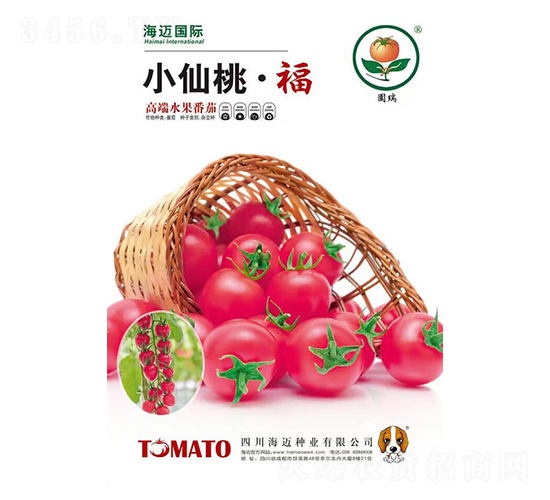 С���ҡ���-ӣ�ҷ�������-��������