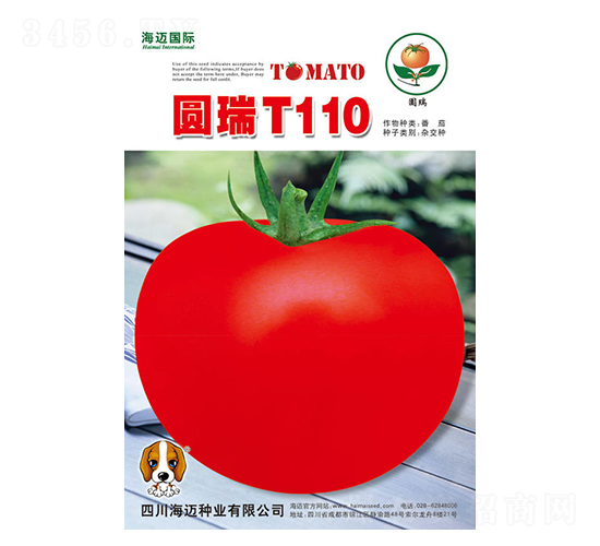 Բ��T110-��������-��������