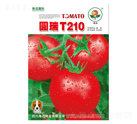 Բ��T210-��������-��������