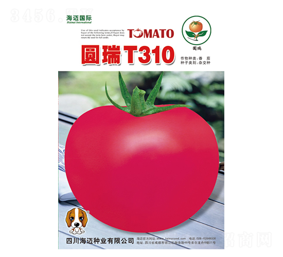 Բ��T310-��������-��������