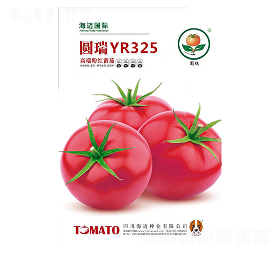 Բ��325-��������-��������