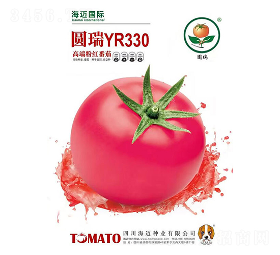 Բ��330-��������-��������