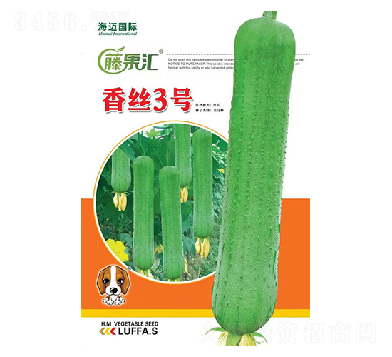 ��˿3��-˿������-�ٹ���-��������