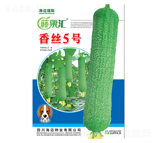 ��˿5��-˿������-�ٹ���-��������