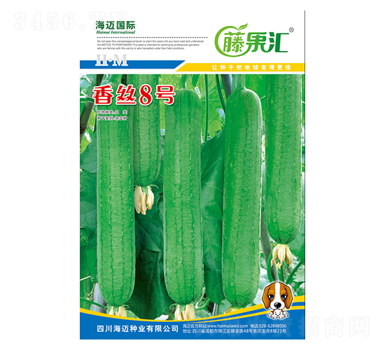 ��˿8��-˿������-�ٹ���-��������