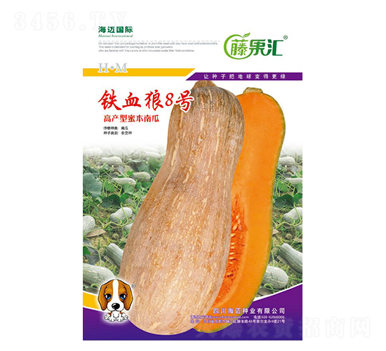 ��Ѫ��8��-�Ϲ�����-�ٹ���-��������