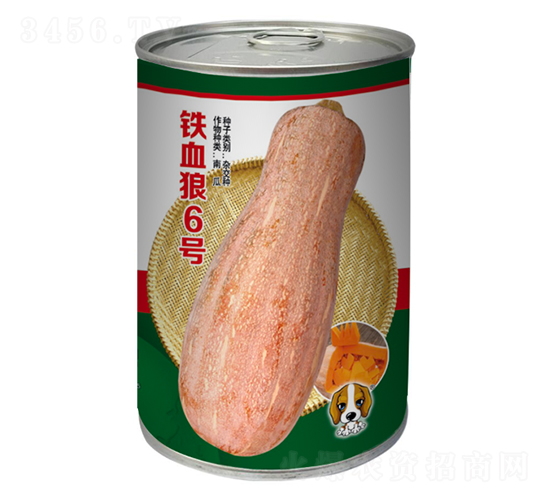 ��Ѫ��6��-�Ϲ�����-�ٹ���-��������